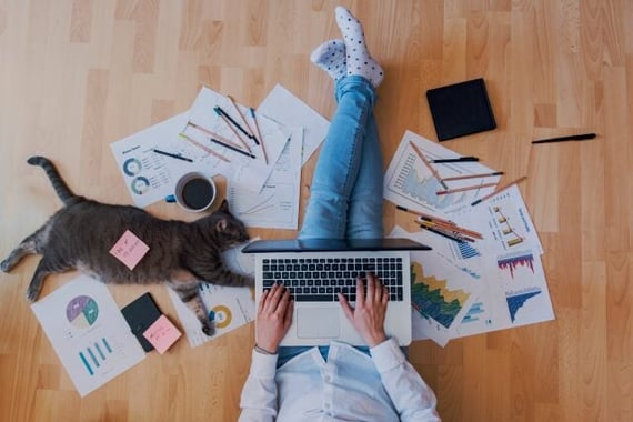 A cozy remote work setup! A person is sitting on the floor with their legs crossed, working on a laptop. They are surrounded by scattered financial charts, graphs, and colored pencils. A cup of coffee is nearby. A relaxed grey cat is lying among the papers with a sticky note attached to its back that says, "Call at 02:30 PM." Another sticky note on a notebook says, "Meeting at 4 PM." The vibe is all productivity, with a touch of feline companionship.