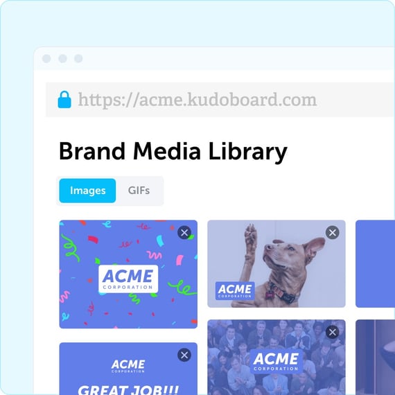 Branded Media Library